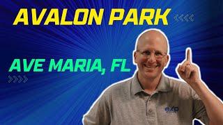 Living in Avalon Park in Ave Maria Florida