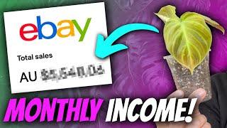 How much I earn selling plants on eBay and how you can do it too  Online Plant Business