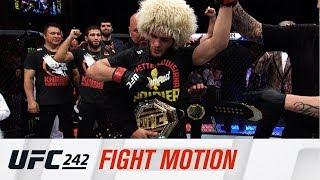 UFC 242 Fight Motion