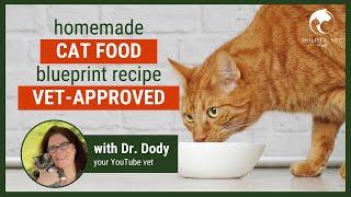 Homemade Cat Food Recipes Vet Approved  Basic Blueprint