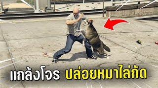 เป็นตำรวจแกล้งโจร ปล่อยหมาไล่กัดในเกม GTA V Roleplay