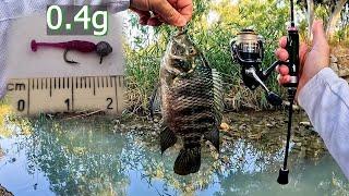 Big tilapia in Extra Ultralight XULBFS Fishing in the Yarkon stream 4k EN Subs