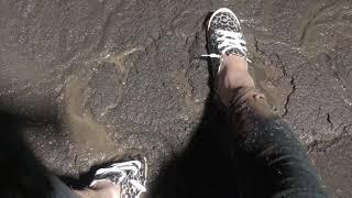 Playing in Thick Sludge with Leopard Print Sneakers