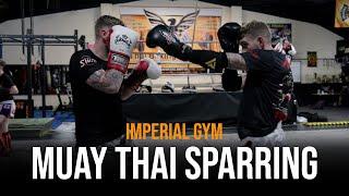 Technical Muay Thai Sparring at Imperial Gym