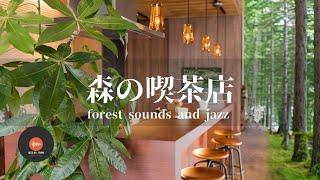 環境音+JAZZ やさしい森の喫茶店 鳥のさえずり 川のせせらぎ 自然の環境音 森の中  CAFE JAZZ - 作業用BGM