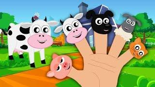 Animals Finger Family And Kids Song For Children  Nursery Rhymes For Babies