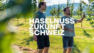 Haselnussanbau in der Schweiz – Mehr Biodiversität und nachhaltige Ernährung dank Haselnüssen