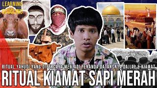 Ritual Sapi Merah Panggil Dajjal Dipersiapkan Israel? Jadi Alasan Serangan Hamas  LearningGoogling