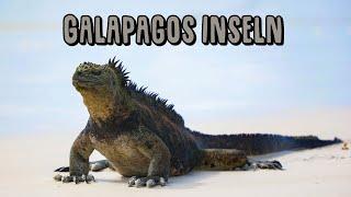 Galapagos Inseln - Ein Abstecher ins Paradise  Bikepacking around the world 99