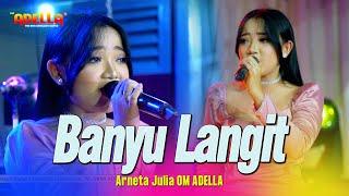 BANYU LANGIT - Arneta Julia - OM ADELLA Live Sidoarjo