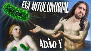 Eva mitocondrial e Adão cromossomo Y  #Pirula 371.3