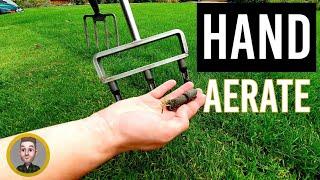 3 Lawn Aeration Tools and When to Use Solid and Hollow Tine