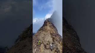 Video bokeh di gunung raung