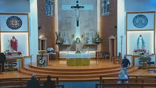 Catholic Mass for Friday of 10th Week in Ordinary Time - 14th June 2024 - 8am