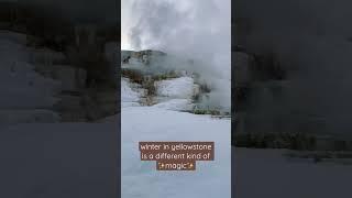 Winter in Yellowstone National Park