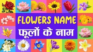 flowers name for kids  फूलों के नाम  Phoolon ke naam  flowers vocabulary