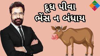 દૂધ પીવા ભેંસ ન બંધાય  vasant paresh jokes  gujarati jokes 2023  jokes ni jamavat