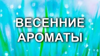 Подборка весенних ароматов