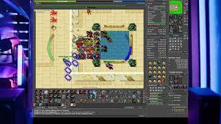 tibia hunt ASURAS 5.6KK EXP en PALACIO desde lvl 400 EK