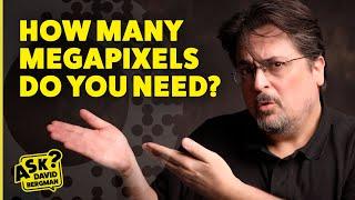 How Many Megapixels Do You Need?  Ask David Bergman