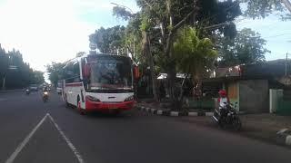 Telolet Melodi Ala Bus PARIWISATA