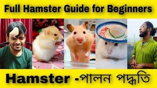 Hamster Guide for Beginners হ্যামস্টার পালন পদ্ধতিHamster Food and SetupHamster Care in Bangla