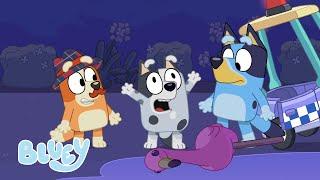 Season 1 Full Episodes  Bluey