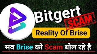 Bitgert Token is SCAM really ️  Reality of Bitgert Brise Token 