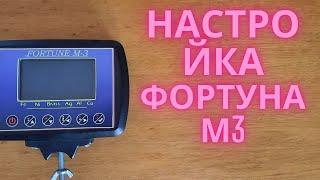 Как настроить металлоискатель Фортуна М3  Часть 1