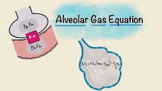 Alveolar Gas Equation  Alveolar-arterial A-a gradient  Respiratory Physiology