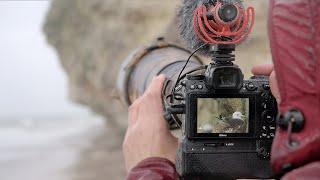 How I Practice Bird Photography when I feel Rusty  BTS how to avoid water damage after heavy rain