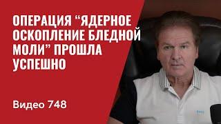 Операция “Ядерное оскопление Бледной Моли” прошла успешно  №748 Юрий Швец