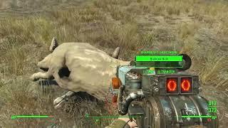 Fallout 4 Survival Part 12 - I found the Survival Lootlock