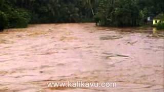 Kalikavu river flood view from Ambalakkadavu Bridge