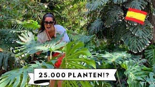 BOTANISCHE TUIN IN MALAGA BEZOEKEN REUZE MONSTERAS + 3000 TROPISCHE PLANTSOORTEN  MELISSA AARSSÉE