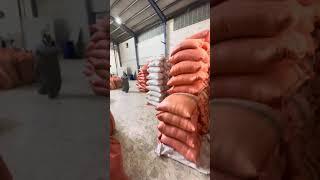 Separation steps of Iranian rice with special aroma and quality