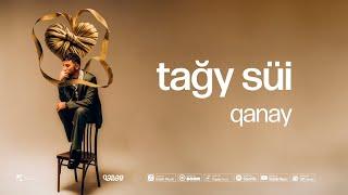 QANAY - Tağy süi  Тағы сүй Official Audio