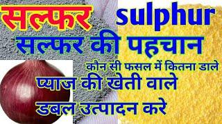 सल्फर की कमी के लक्षण  - सल्फर का महत्व  sulphur ki Kami deficiency sulphur formulation 