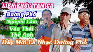 Liên Khúc Tam Ca Đường Phố - Thế Anh - Văn Thái - Nguyễn Lãm - Bolero Đường Phố