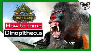 HOW TO TAME Dinopithecus  ARK Lost Island