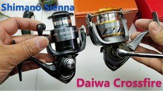 Spinning reel comparison  - Shimano Sienna vs Daiwa Crossfire