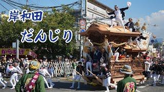 岸和田だんじり2023　勇壮なやりまわし