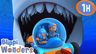 Sharks Teeth  Blippi Wonders  Educational Videos for Kids