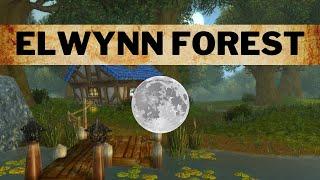 Elwynn Forest - Music & Ambience 100% - First Person Tour - Retail Visuals
