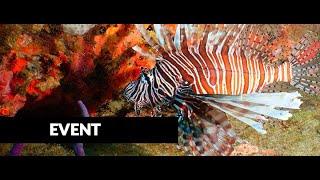 Lionfish Facts