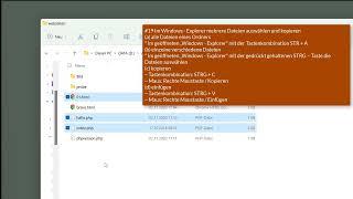 19 Windows 11 - Im Windows - Explorer mehrere Dateien auswählen und kopieren