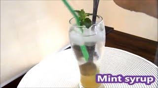 Mint and vinegar syrup  Sharbat sekanjabin