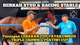 Persiapan Kuda Pacu BERKAH STABLE Menuju LEBARAN CUP & PIALA TIGA MAHKOTA  JOGJA DIY