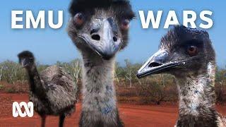 The Great Emu War how it started and who won  ABC Australia