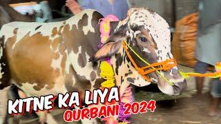 Kitne Ka liya qurbani Ka Janwar 2024 I shahpur kanjra Mandi Lahore